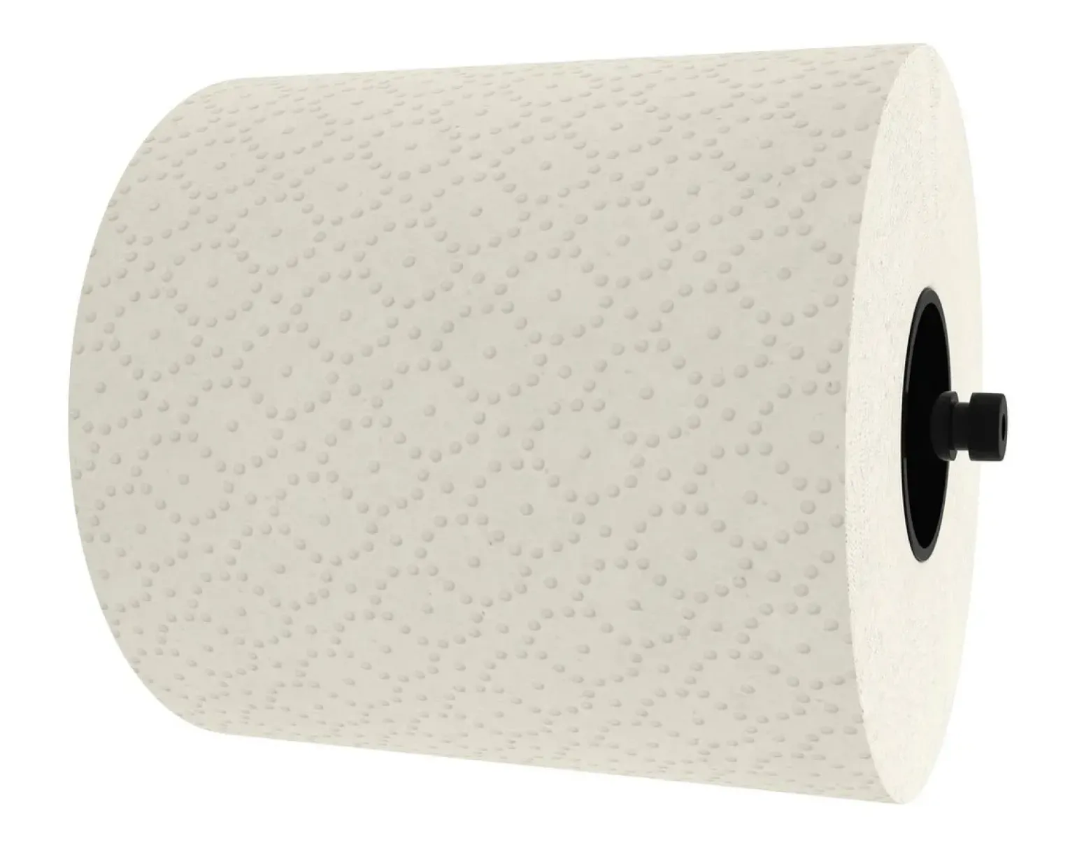 BlackSatino Handdoekrol 2 laags 175 meter (6 stuks)