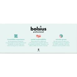 Bolsius Professional Gotische Kaars Wit (100 stuks)