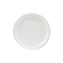 Bord Rond Suikerriet 26cm (500 stuks)