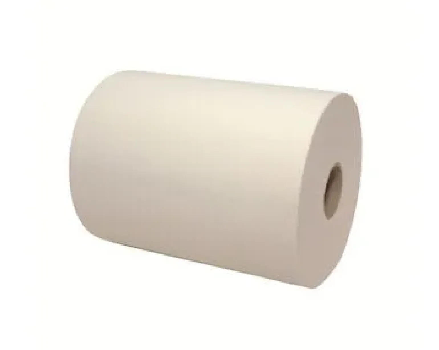 Euro Handdoekrol Mini Matic XL 2-laags (6x165m)