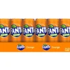 Fanta orange blik (24x 33cl)
