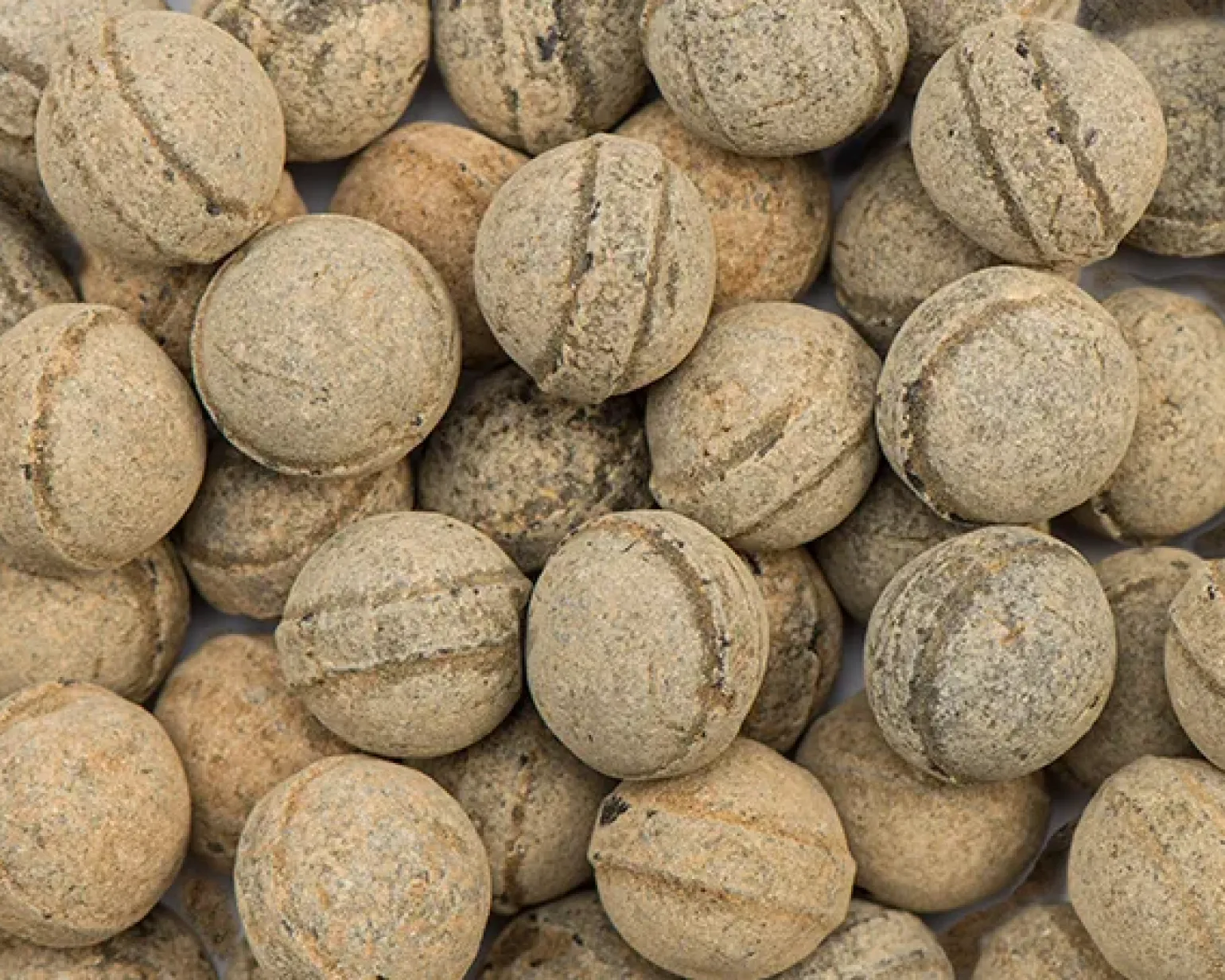 Kindly’s Salmiak Bollen (3,5kg)