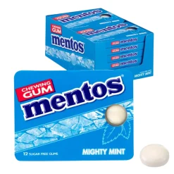 Mentos Kauwgom Mighty Mint Blister (12 stuks)
