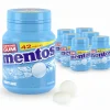 Mentos Kauwgom Mighty Mint Bottle (6x 42 stuks)