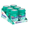 Mentos Kauwgom Wintergreen Bottle (6x 30 stuks)