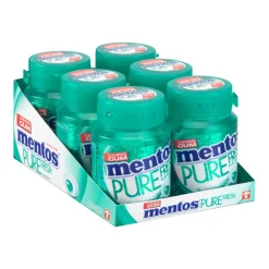 Mentos Kauwgom Wintergreen Bottle (6x 30 stuks)