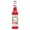 Monin Siroop Pamplemousse Rose (0.7 Liter)