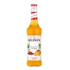 Monin Siroop Spicy Mango (70cl)