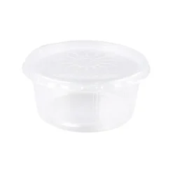 Plastic bak + deksel helder (250x 250cc)