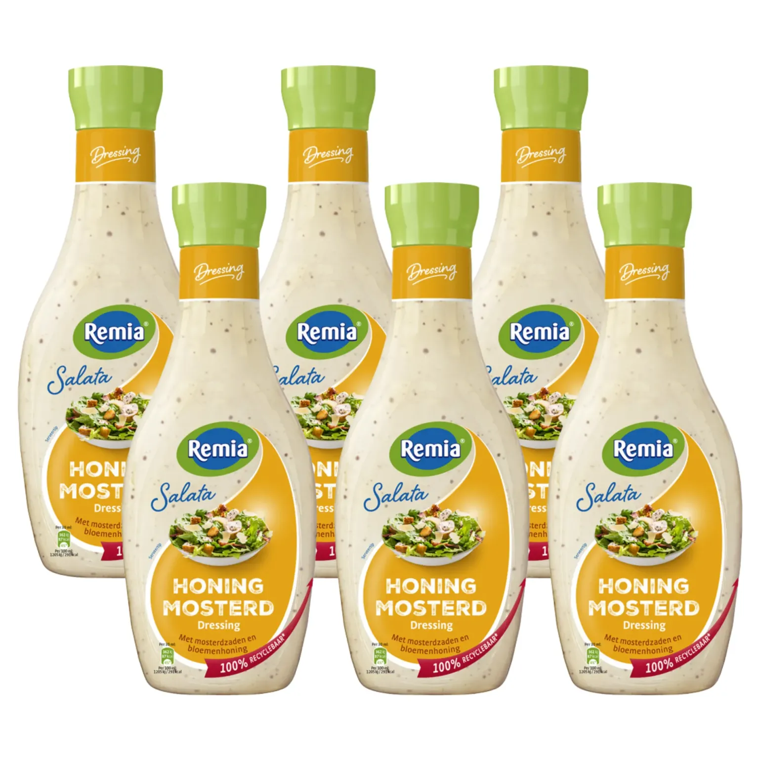 Remia Salata Honing Mosterd (6x 450ml)