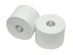 Toiletpapier met dop recycled 2 laags (36x 100m)
