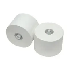 Toiletpapier met dop recycled wit 1 laags (36x 150m)