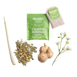 Wonder Leaves BIO FT Calming Moringa (25x 1,8gr)