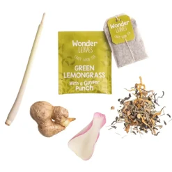 Wonder Leaves BIO FT Lemongrass Ginger (25x 1,8 gr)