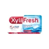 Xylifresh Peppermint (24x 18gr)